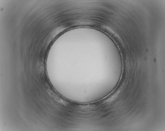 X0000074331025200609152052