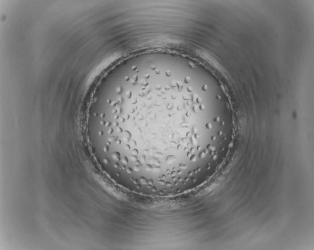 X0000074331026200609152052