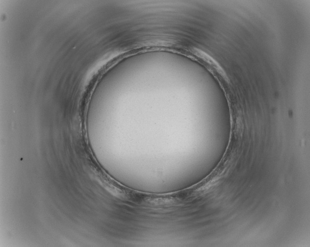 X0000074331027200609152052