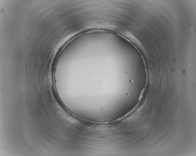 X0000074331028200609152052