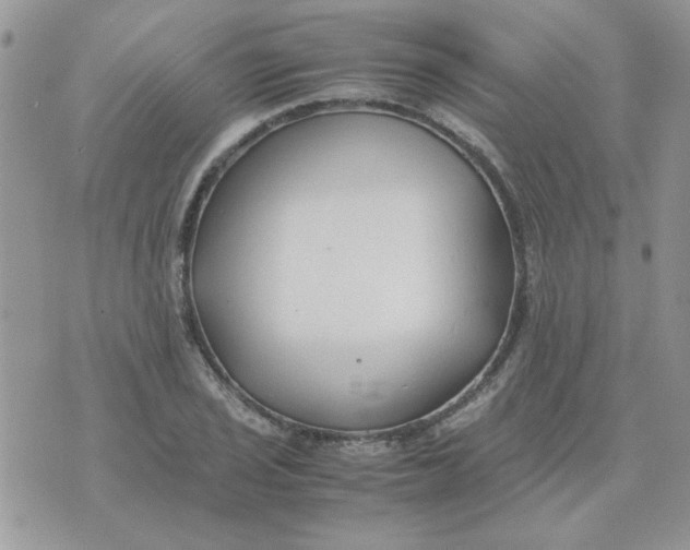 X0000074331029200609152052