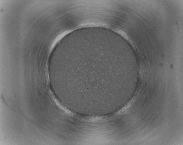 X0000074331030200609152052