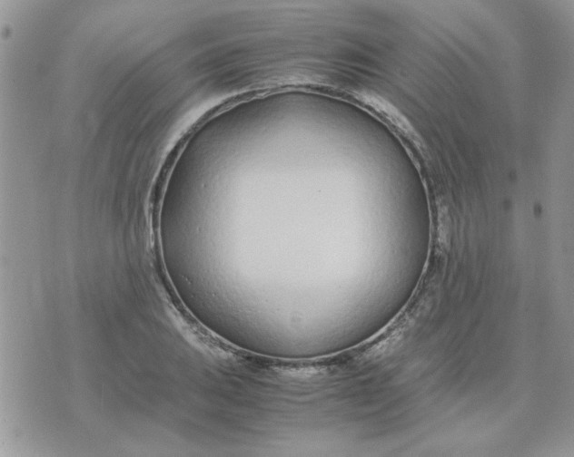 X0000074331031200609152052