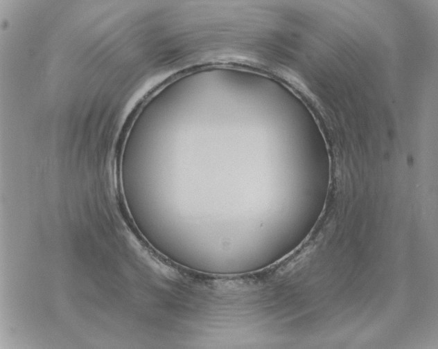 X0000074331032200609152052