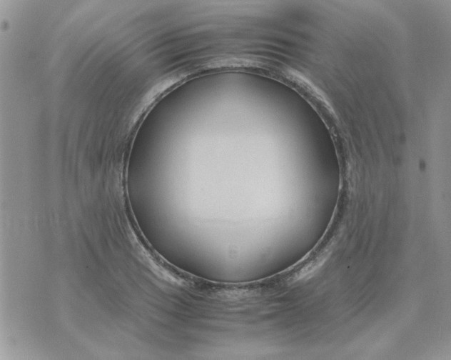 X0000074331033200609152052