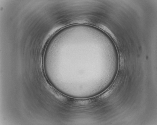 X0000074331035200609152052