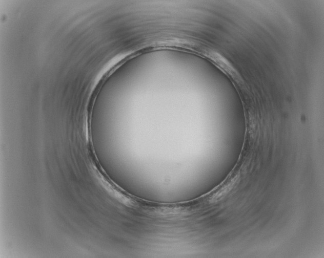 X0000074331036200609152052