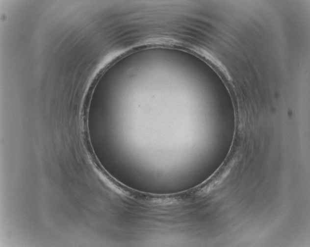 X0000074331037200609152052