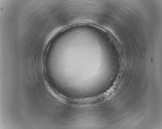 X0000074331038200609152052