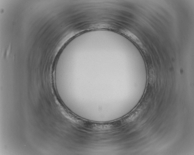 X0000074331039200609152052