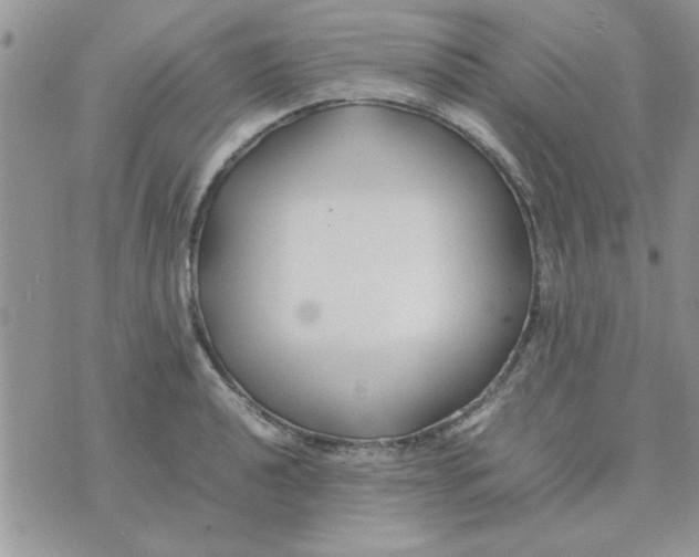 X0000074331040200609152052