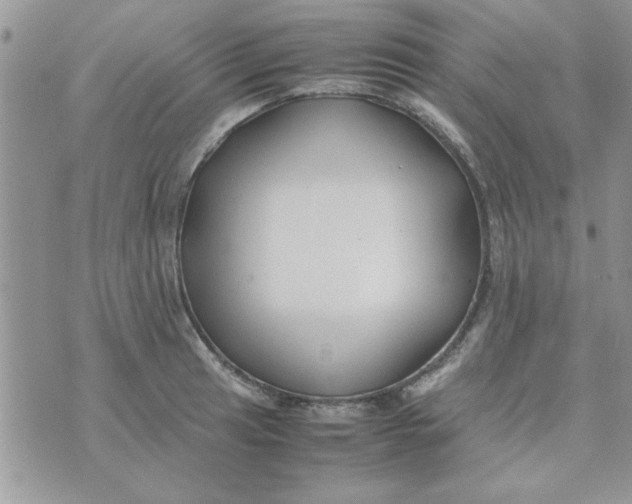 X0000074331041200609152052