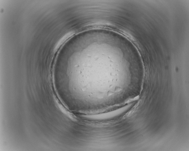 X0000074331042200609152052