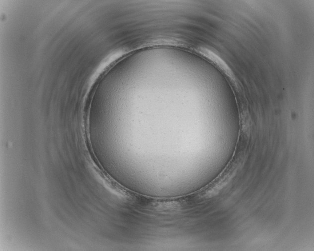 X0000074331043200609152052