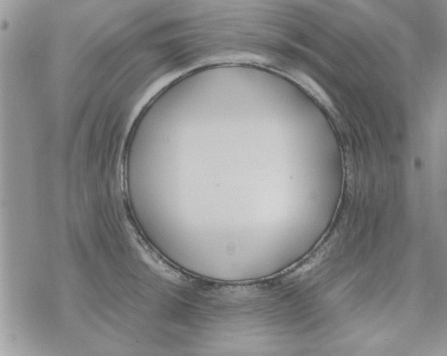 X0000074331044200609152052