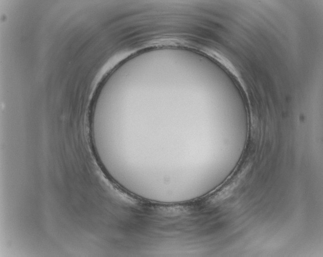 X0000074331045200609152052