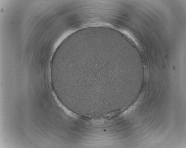 X0000074331046200609152052