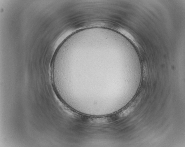 X0000074331047200609152052