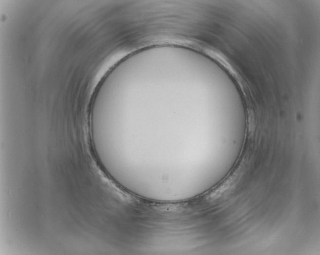 X0000074331048200609152052