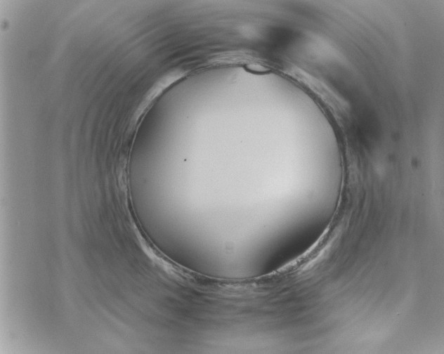 X0000074331049200609152052