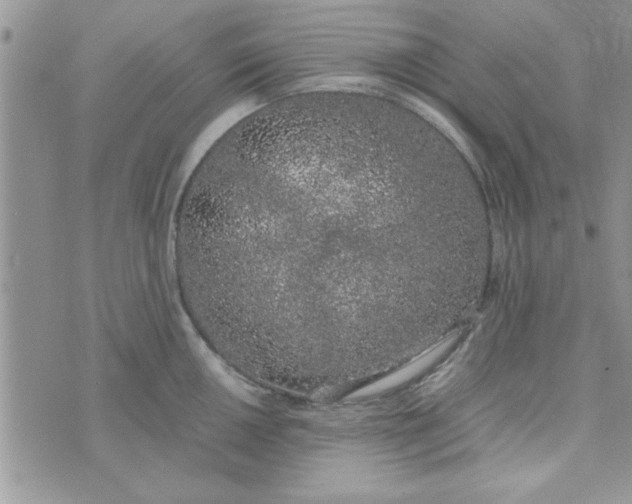 X0000074331050200609152052