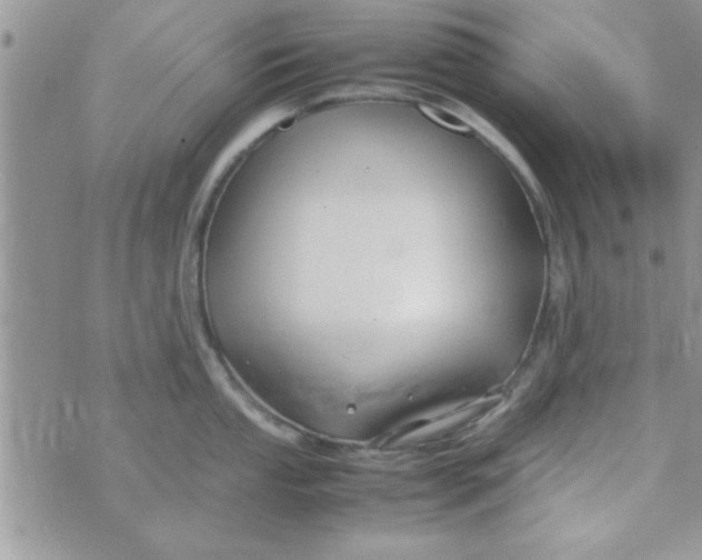 X0000074331053200609152052