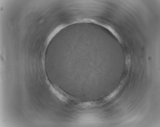 X0000074331054200609152052