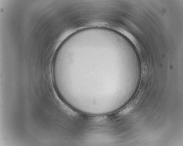 X0000074331055200609152052