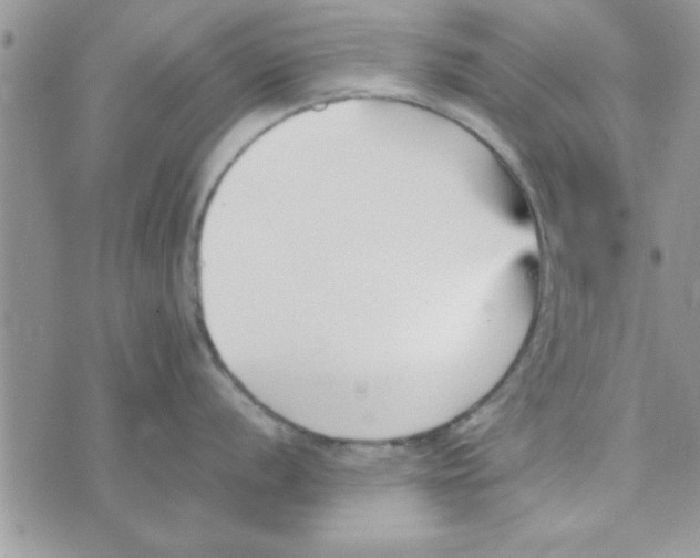 X0000074331056200609152052