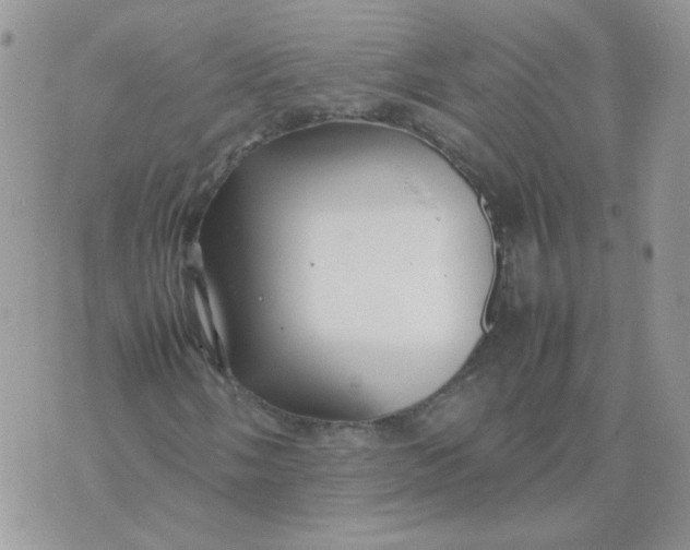 X0000074331058200609152051