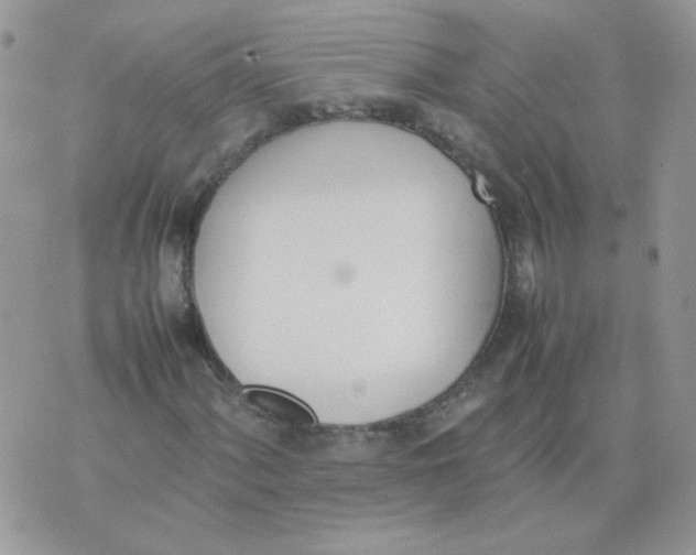 X0000074331060200609152051