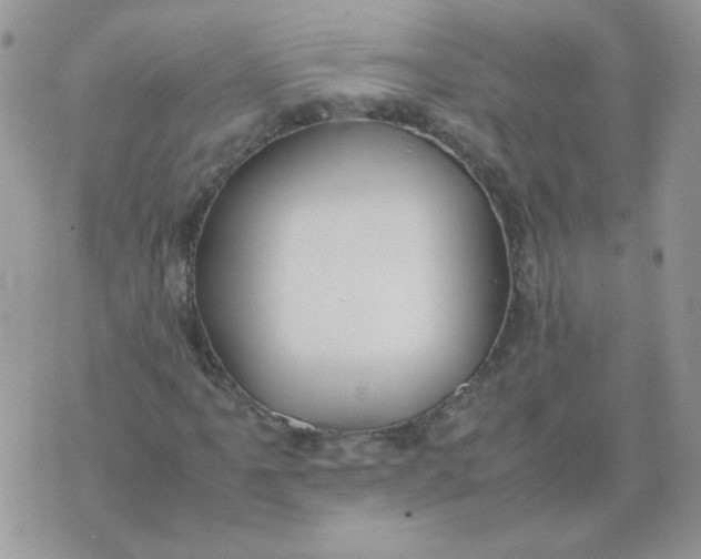 X0000074331061200609152051