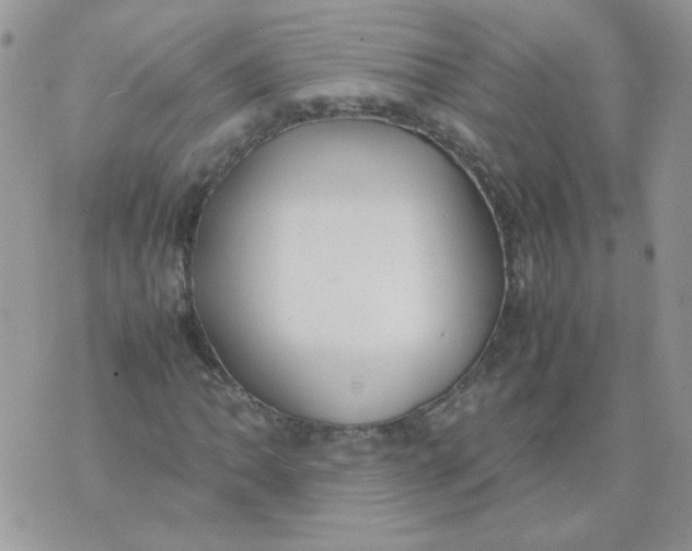 X0000074331062200609152051