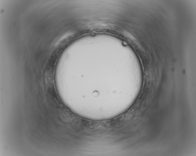 X0000074331063200609152051