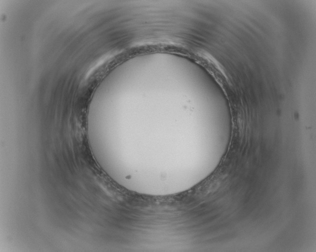 X0000074331064200609152051