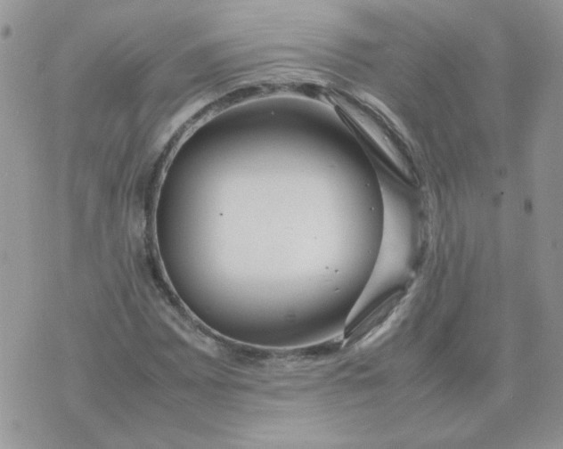 X0000074331065200609152051