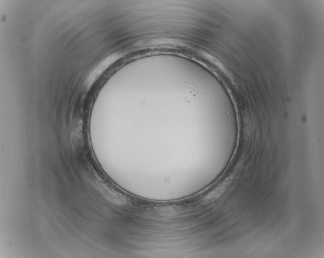 X0000074331066200609152051