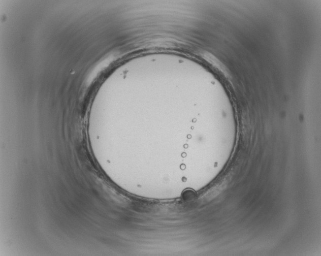 X0000074331067200609152051