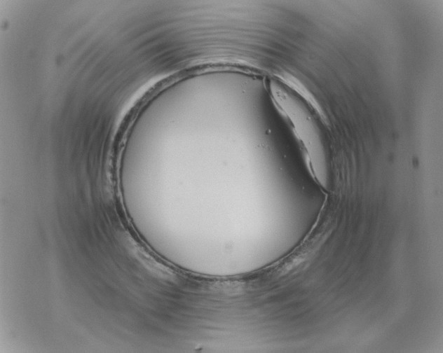 X0000074331068200609152051