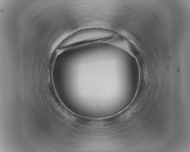 X0000074331069200609152051