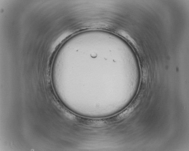 X0000074331071200609152051