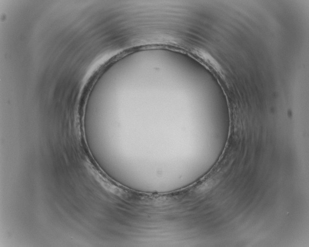 X0000074331072200609152051