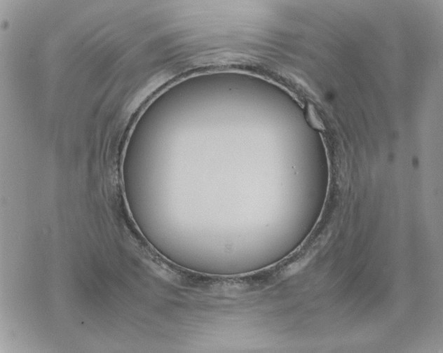 X0000074331073200609152051