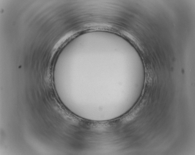 X0000074331074200609152051