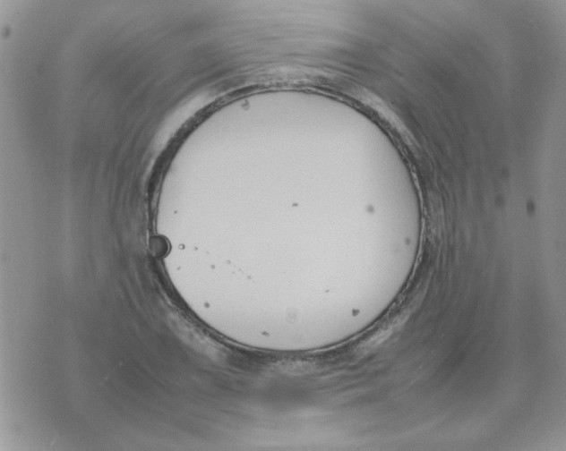 X0000074331075200609152051