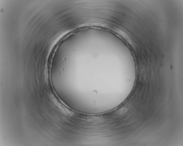 X0000074331076200609152051