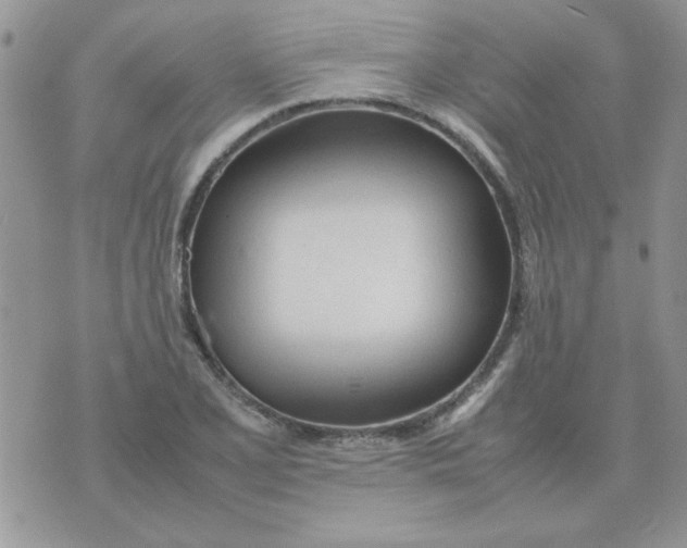 X0000074331077200609152051