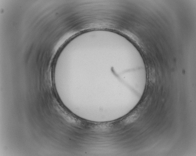 X0000074331078200609152051