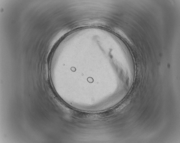 X0000074331079200609152051