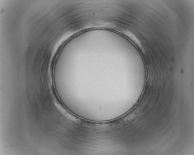 X0000074331080200609152051